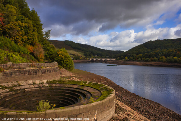 Ladybower Reservoir Picture Board by Ann Biddlecombe