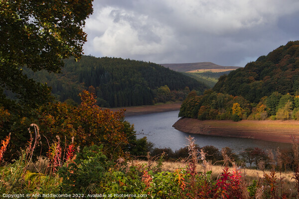 View of Ladybower Reservoir Picture Board by Ann Biddlecombe