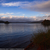 Buy canvas prints of Lakeside in lake windermere by Ann Biddlecombe
