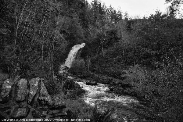 Grey mares tail waterfall in Galloway forest park Picture Board by Ann Biddlecombe