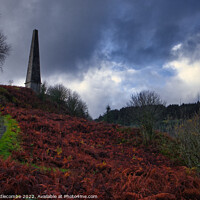 Buy canvas prints of Murray Memorial Tower by Ann Biddlecombe