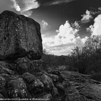 Buy canvas prints of Robert the bruce stone monument by Ann Biddlecombe