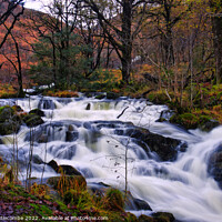Buy canvas prints of Fast flowing river in the woods by Ann Biddlecombe