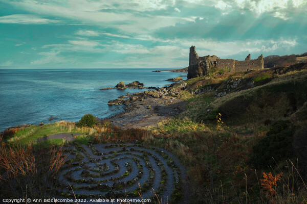 Dunure Castle on the coast of Ayrshire Picture Board by Ann Biddlecombe