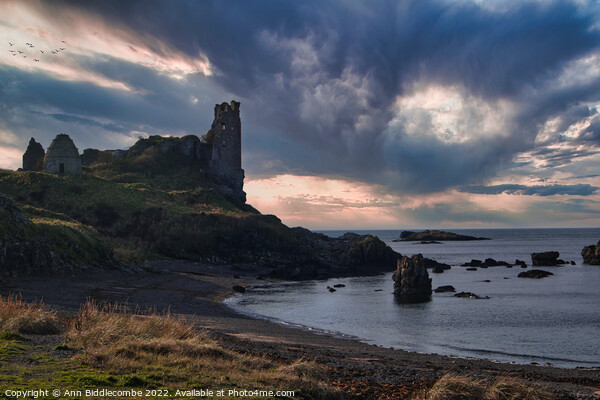 Dunure Castle on the coast of Scotland Picture Board by Ann Biddlecombe