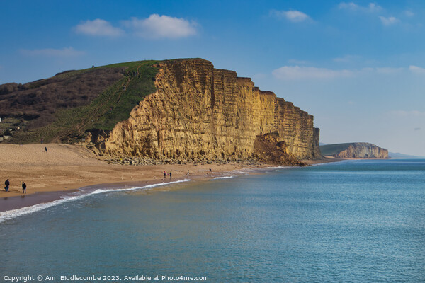 WestBay cliffs claimed by the sea Picture Board by Ann Biddlecombe