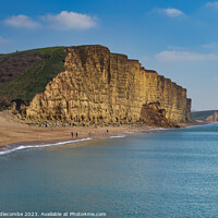 Buy canvas prints of WestBay cliffs claimed by the sea by Ann Biddlecombe