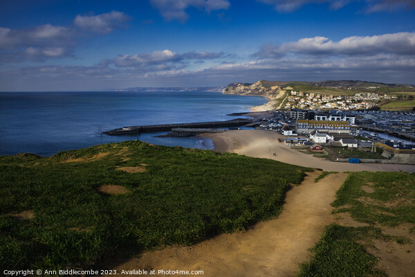 View of west bay from the crumbling cliffs Picture Board by Ann Biddlecombe