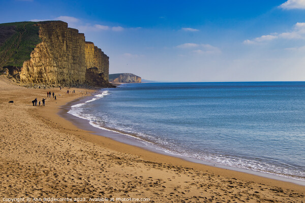 West bay beach part of the Jurassic coast Picture Board by Ann Biddlecombe