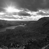 Buy canvas prints of View over Loch Trool  by Ann Biddlecombe