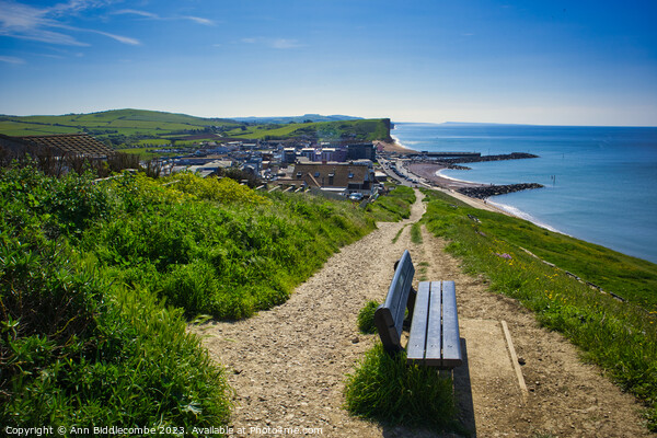 View of Westbay from the top of the hill Picture Board by Ann Biddlecombe