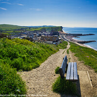 Buy canvas prints of View of Westbay from the top of the hill by Ann Biddlecombe