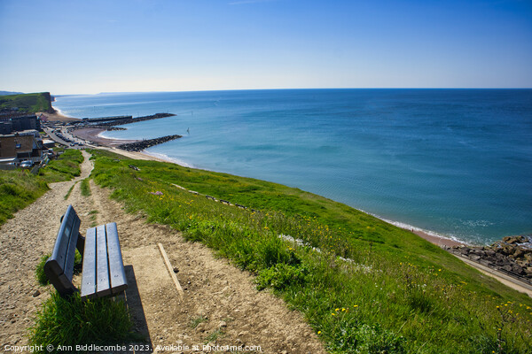 Bench with a view on the path to Westbay Picture Board by Ann Biddlecombe