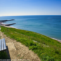 Buy canvas prints of Bench with a view on the path to Westbay by Ann Biddlecombe