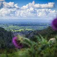 Buy canvas prints of Cheddar Gorge view cliff side through the thistles  by Ann Biddlecombe