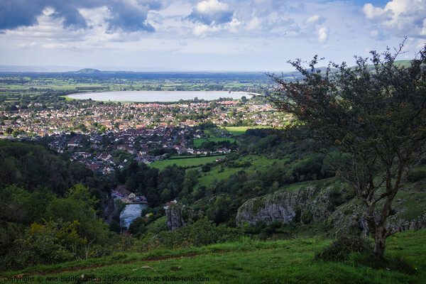 View from Cheddar Gorge cliffs looking over the reservoir  Picture Board by Ann Biddlecombe