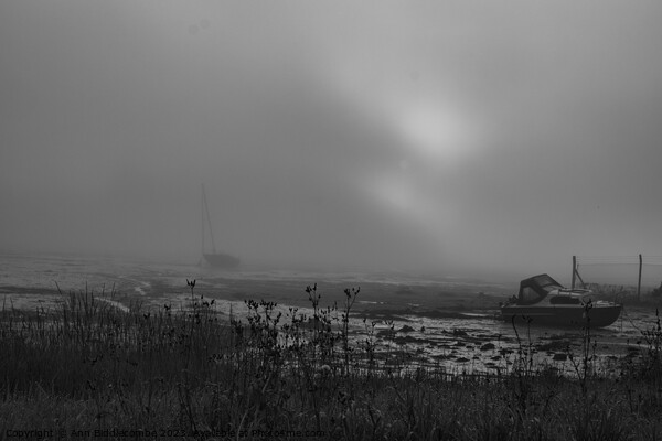 Wilcove in Torpoint on a misty morning in black and white Picture Board by Ann Biddlecombe