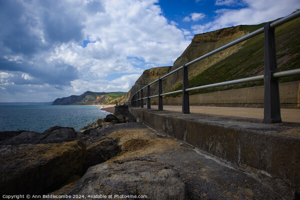 looking west at west bay Picture Board by Ann Biddlecombe