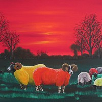 Buy canvas prints of  Rainbow Flock by Ann Biddlecombe