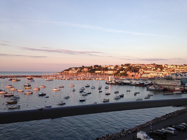 Brixham at sunset Picture Board by Ann Biddlecombe
