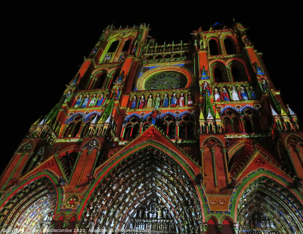 Amiens Cathedral in light Picture Board by Ann Biddlecombe