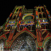 Buy canvas prints of Amiens Cathedral in light by Ann Biddlecombe