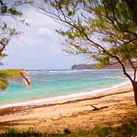 Buy canvas prints of Barbados Beach on the Coast by Ann Biddlecombe