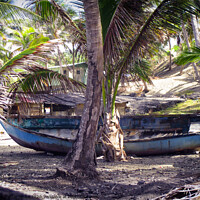 Buy canvas prints of Tropical blue boat by Ann Biddlecombe