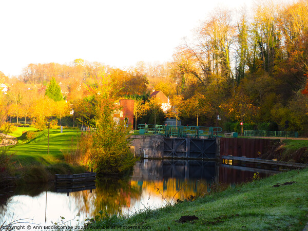 Cappy lock at sunset Picture Board by Ann Biddlecombe