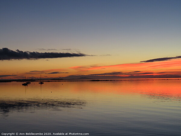 Three Boats in Sunset over Lagune de Thau Picture Board by Ann Biddlecombe