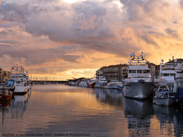 Sunset over Sete Quai Picture Board by Ann Biddlecombe