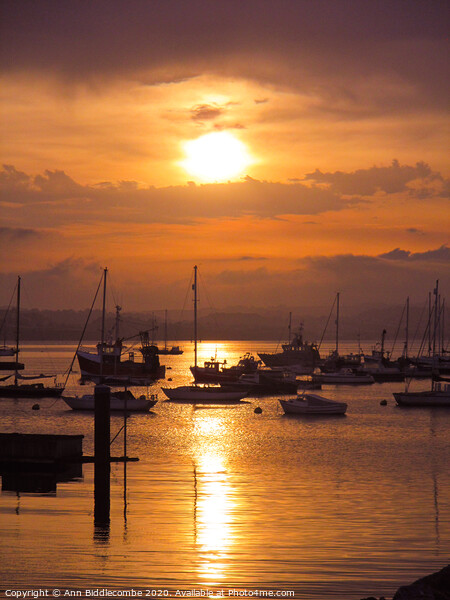 Sunset over Brixham outer harbor Picture Board by Ann Biddlecombe