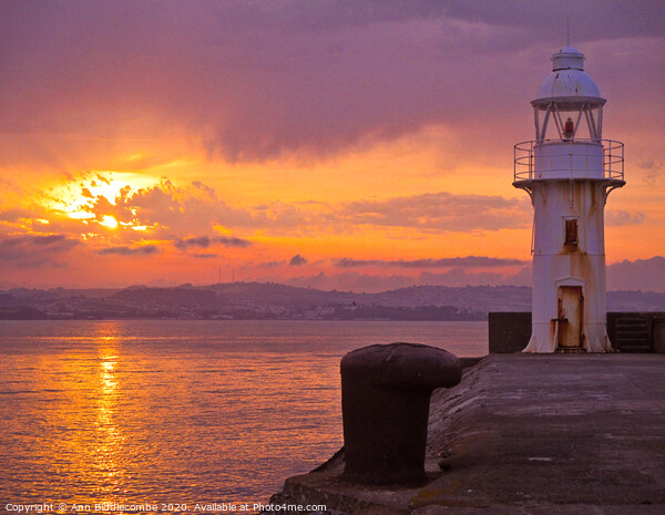 Sunset over Brixham Lighthouse Picture Board by Ann Biddlecombe