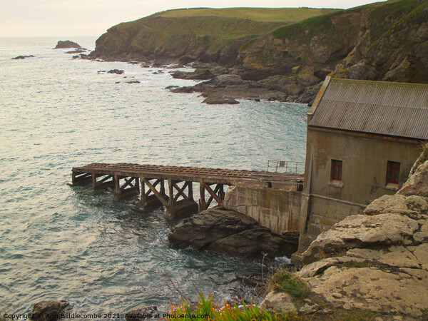The old lifeboat station on the lizard peninsular  Picture Board by Ann Biddlecombe
