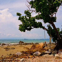 Buy canvas prints of Lone Swing hanging on a tree on a Beach in Rayon S by Ann Biddlecombe