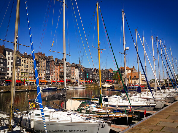 Honfleur Harbour France Picture Board by Ann Biddlecombe