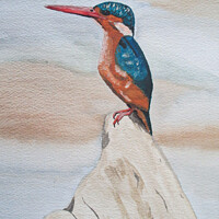 Buy canvas prints of Kingfisher watercolor by Ann Biddlecombe