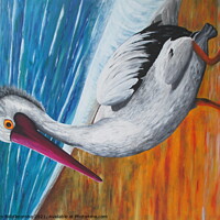 Buy canvas prints of The Pelican by Ann Biddlecombe