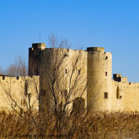 Buy canvas prints of Fortress surrounds the medieval town of Aigues Mor by Ann Biddlecombe