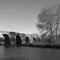 Buy canvas prints of Bridge over the L'Aude River in France in Black an by Ann Biddlecombe