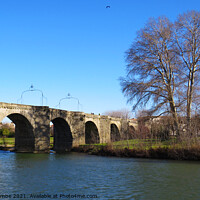 Buy canvas prints of Bridge over the L'Aude River in France by Ann Biddlecombe