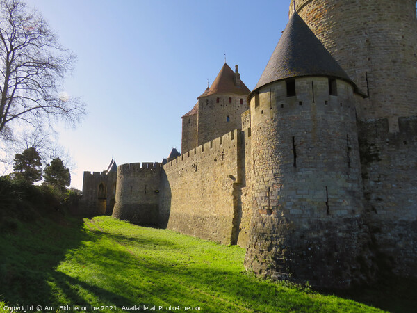 The outer wall of the Medieval town in Carcassonne Picture Board by Ann Biddlecombe