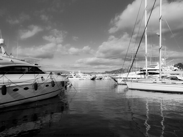 Monochrome One of the marinas in Cannes Picture Board by Ann Biddlecombe