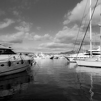 Buy canvas prints of Monochrome One of the marinas in Cannes by Ann Biddlecombe