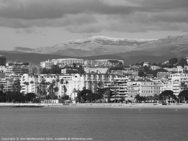 Monochrome A view of the Carlton hotel in Cannes Picture Board by Ann Biddlecombe