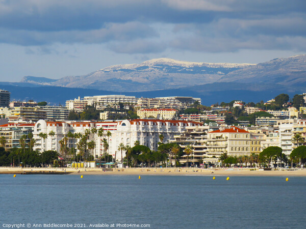  A view of the Carlton hotel in Cannes Picture Board by Ann Biddlecombe