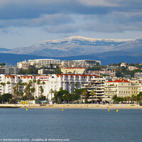 Buy canvas prints of  A view of the Carlton hotel in Cannes by Ann Biddlecombe