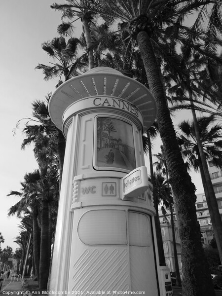 Monochrome vintage toilet in Cannes on the Cote d  Picture Board by Ann Biddlecombe