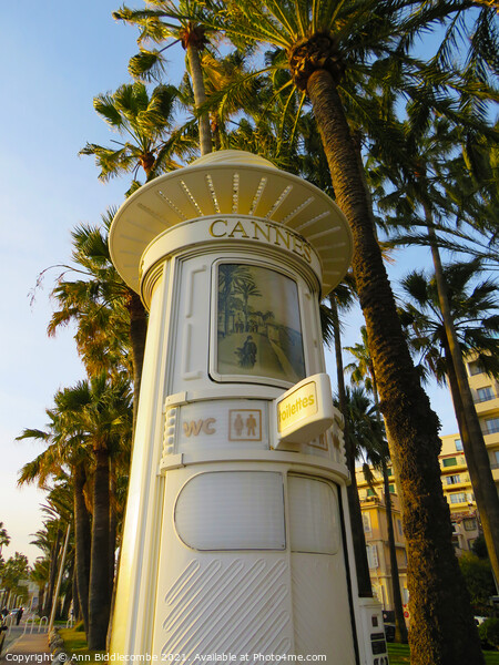  Vintage toilet in Cannes  Picture Board by Ann Biddlecombe