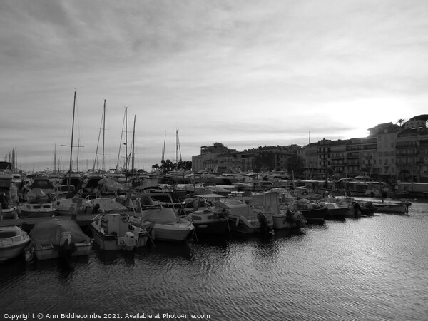 Monochrome Cannes marina at sunset Picture Board by Ann Biddlecombe